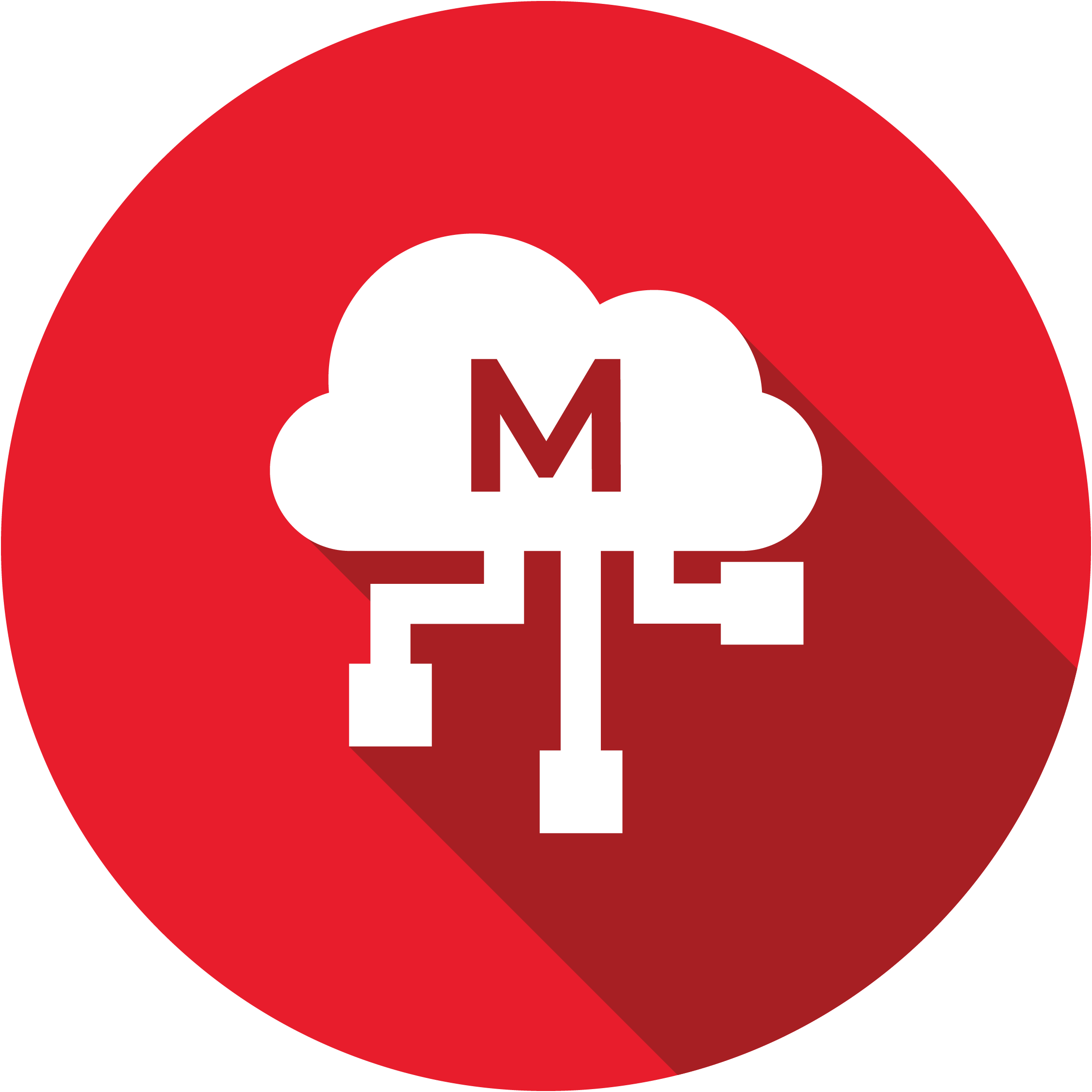 cisco_ucs_icon